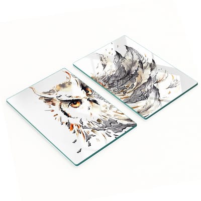 Multifunctionele decoratieve keukenplanken van gehard glas met uilmotief, 2x40x52 cm