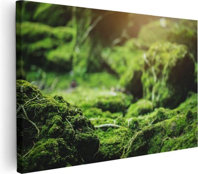 Artaza Canvas Schilderij Bos - 30x20 cm - Klein - Wanddecoratie Mos - Muurdecoratie Landschap - Kamer Accessoires