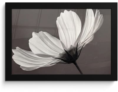Poster in lijst - Fotolijst 30x20 cm - Posters - Bloem - Minimalistisch - Zwart - Wit - Posterlijst zwart - Decoratie - Wanddecoratie woonkamer - Muurdecoratie slaapkamer
