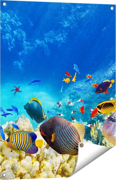 Gards Tuinposter Vissen in de Oceaan met Koralen - 60x80 cm - Tuindoek - Tuindecoratie - Wanddecoratie buiten - Tuinschilderij