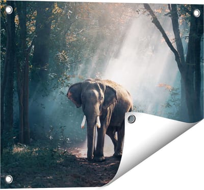 Gards Tuinposter Olifant in het Bos met Zonneschijn - 50x40 cm - Tuindoek - Tuindecoratie - Wanddecoratie buiten - Tuinschilderij