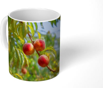 Mok - Koffiemok - Perzik - Bladeren - Zonlicht - Mokken - 350 ML - Beker - Koffiemokken - Theemok