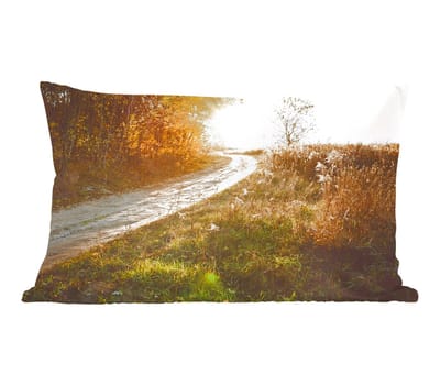 Sierkussens - Kussentjes Woonkamer - 50x30 cm - Pad - Natuur - Boom