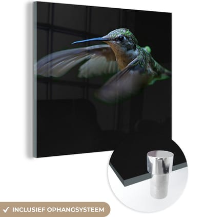 MuchoWow® Glasschilderij 50x50 cm - Schilderij acrylglas - Kolibrie - Vogel - Veren - Zwart - Foto op glas - Schilderijen