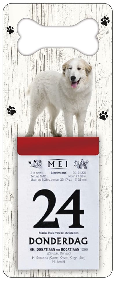Scheurkalender 2027 Hond: Pyrineese Berghond