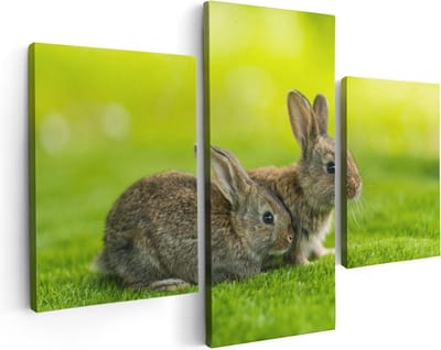 Artaza Canvas Schilderij Drieluik Twee Konijnen Op Het Groene Gras - 90x60 - Foto Op Canvas - Canvas Print