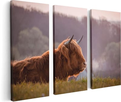 Artaza Canvas Schilderij Drieluik Schotse Hooglander Koe Ligt In Het Gras - 120x80 - Foto Op Canvas - Canvas Print