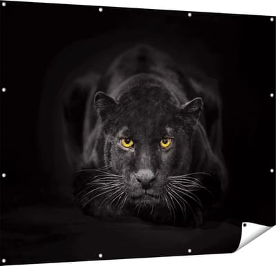 Gards Tuinposter Zwarte Panter met Oranje Ogen - 150x120 cm - Tuindoek - Tuindecoratie - Wanddecoratie buiten - Tuinschilderij