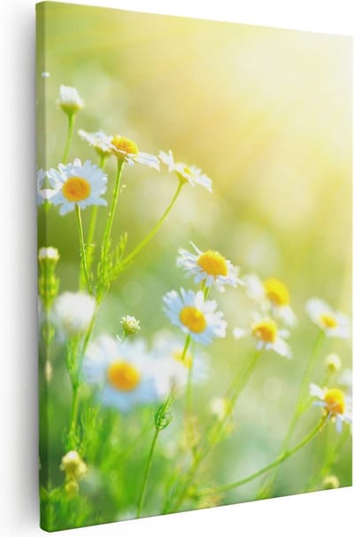 Artaza Canvas Schilderij Bloemen In Zonlicht - 40x50 cm - Muurdecoratie Woonkamer - Wanddecoratie Lente - Kamer Accessoires