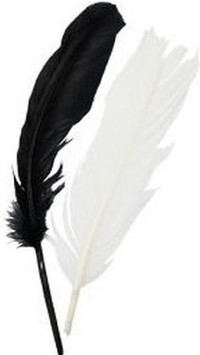 Iindianenveren/sierveren - 15x stuks - zwart/wit - 16 cm - Decoratie veertjes/veren