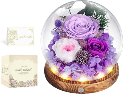 Eeuwige Roos - Gedroogde Bloem - Decoratie Kamer - Ledverlichting - 13cm Hoog - Paars