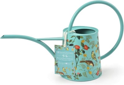 Mini Gieter - Kamerplant Gieter - Binnen Bewateren - Elegante Slanke Tuit - 1 Liter Inhoud - Groen