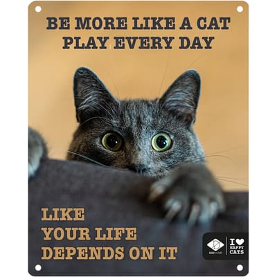 I Love Happy Cats - Anneleen Bru - I Love Happy Cats Bord 'play Every Day' 20x25cm Meerkleurig - 174195