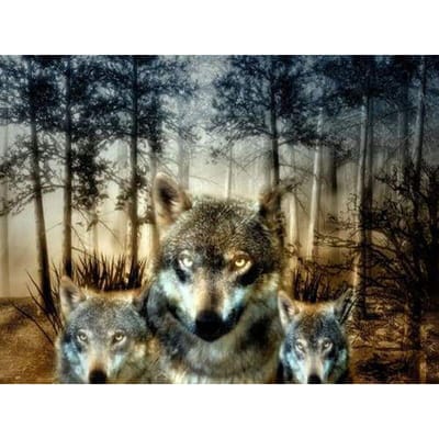 Diamant borduurwerk 5D steentjes borduurwerk schilderij borduurwerk handwerk Wolf Pack Diamond 20X30CM gray
