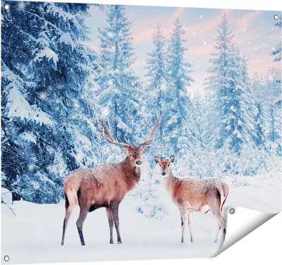 Gards Tuinposter Twee Herten in het Bos met Sneeuw - 100x80 cm - Tuindoek - Tuindecoratie - Wanddecoratie buiten - Tuinschilderij