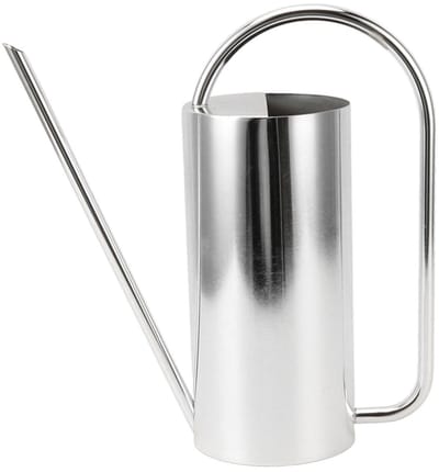 Dailygoods - Planten Gieter - Lange Uitloop - Grote Capaciteit 1500ml - Roestvrij staal kleur - Tuinbenodigdheden - Geschikt voor binnen en buiten
