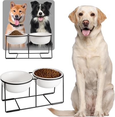 Verhoogde voederbakken voor grote honden - keramische dubbele hondenbak met antislip houder, 2 x 1600 ml, wit