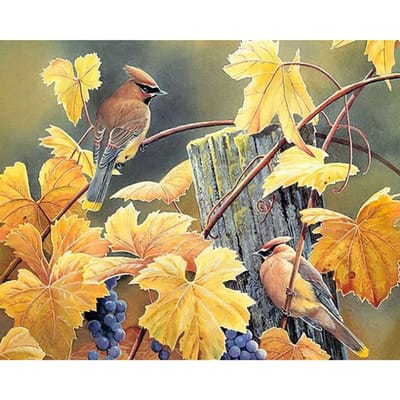 Peinture diamant oiseau et branche, Kits de perceuse complets, broderie diamant faite à la main, peinture mosaïque 20X30CM gray