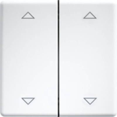 Eltako DW-FT55-rw+2P Dubbele tuimelschakelaar