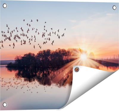 Gards Tuinposter Groep Vogels Boven de Meer met Zonsondergang - 50x40 cm - Tuindoek - Tuindecoratie - Wanddecoratie buiten - Tuinschilderij