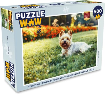 Puzzel Schattige Yorkshire Terrier ligt lekker in het groene gras - Legpuzzel - Puzzel 500 stukjes