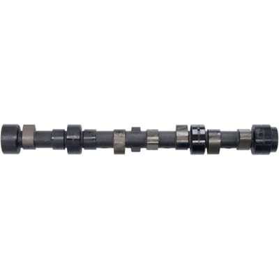 Nokkenas  AMC 641865