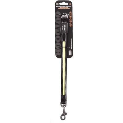 Hondenriem accessoire Martin Sellier