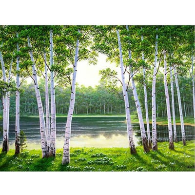 Diamant broderie paysage bouleau arbre affichage complet diamant peinture paysage perle photo Kits 40X50CM