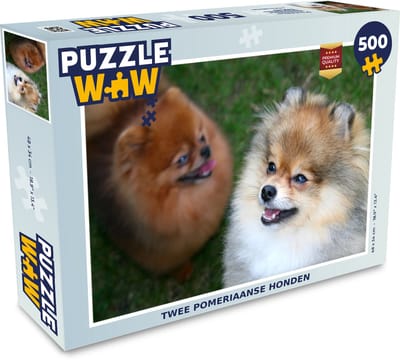 Puzzel Twee pomeriaanse honden - Legpuzzel - Puzzel 500 stukjes