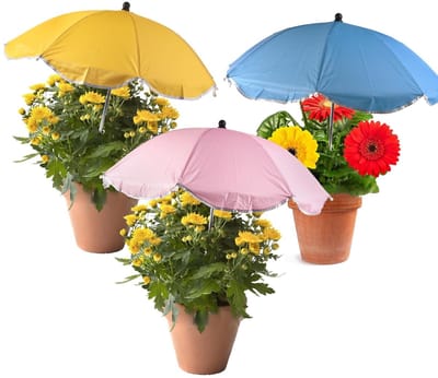 Dailygoods- Plantenparaplu 3 Stuks - Buigzaam Tuinparasol - Polyester/ijzer - Diameter 60 cm - Hoogte 100 cm - Voor Buitenplanten - Tuinparaplu