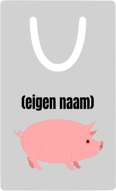 Hacebo® - varken met eigen naam metalen boekenlegger - Varken - boeren/varken liefhebbers - iemand die houdt van varkens - verjaardag - cadeau - kado - geschenk Bladwijzer boekenleggers - 7.6 cm x 5cm