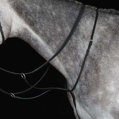 Paardenrennen martingaal Weatherbeeta Collegiate IV