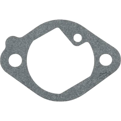 Briggs & stratton inlaatpakking