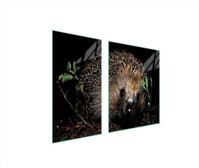 TMK ArtDeko - Serie - Schuurbescherming Glas - 90x52 cm - Veelzijdig