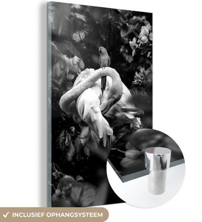 MuchoWow® Glasschilderij 40x60 cm - Schilderij acrylglas - Flamingo en een vogel in de jungle - zwart wit - Foto op glas - Schilderijen