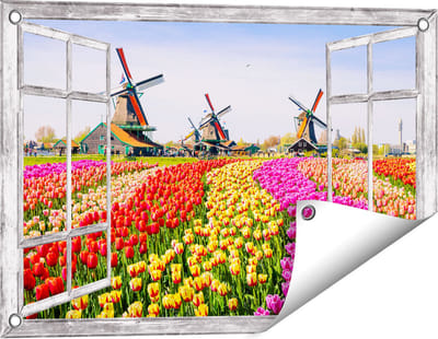 Gards Tuinposter Doorkijk Kleurrijke Tulpen Bloemenveld - Windmolen - 60x40 cm - Tuindoek - Tuindecoratie - Wanddecoratie buiten - Tuinschilderij