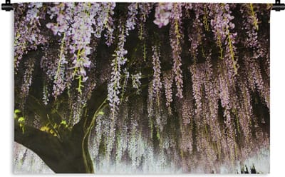 Wandkleed Blauweregen - Japanse blauweregen Wandkleed katoen 120x80 cm - Wandtapijt met foto