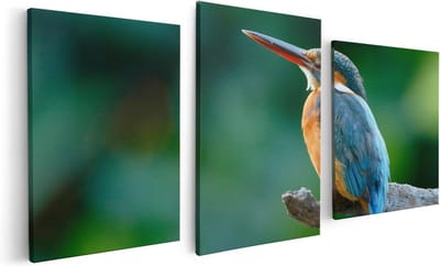 Artaza Canvas Schilderij Drieluik Blauw Oranje IJsvogel Op Een Tak - 120x60 cm - Wanddecoratie Woonkamer - Schilderijen - Muurdecoratie