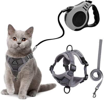 Dailygoods- Kattenharnas met uittrekbare lijn - Reflecterend - Zacht/ademend - Looplijn 150 cm - Kattenhalsband - Geschikt voor buitenwandelingen - Harnas