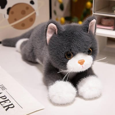 45/55cm Schattige Simulatie Ragdoll Kat Pluche Speelgoed Zacht Gevuld 8 Kleuren Kitten Model Nep Kat Realistische Dieren Meisjes Valentijnsdag 45cm