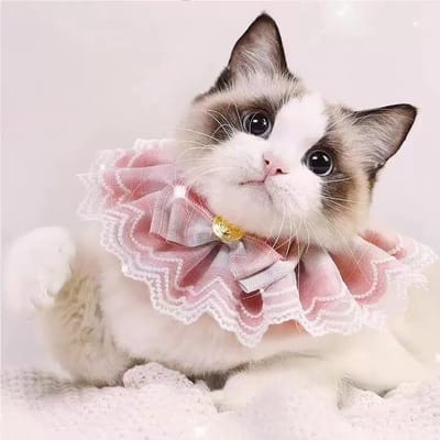 Daity Een kattenaccessoire, een halsband voor katten, geschikt voor katten en kleine honden - elegant ontwerp met kanten ruches, maat S, nekomtrek 20-25 cm, vintage stijl, geschikt voor Yorkshire Terriers, Ragdoll katten, enz. (roze)