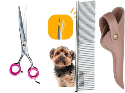 Professor Q – Professionele Up Gebogen Hondenschaar – Roze – 7.5 Inch (19.5 cm) – Ideaal voor Langharige Honden met Luxe Lederen Etui – 16,5 cm – Brons + Anti-Klit Kam – Pijnloos & Huisdiervriendelijk
