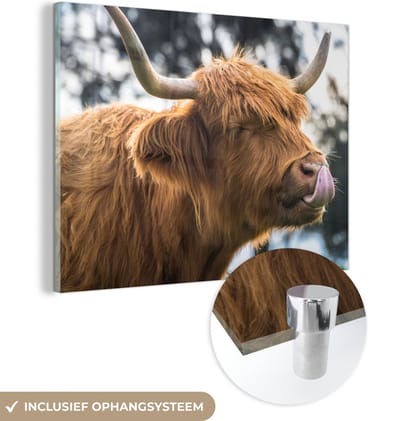 MuchoWow® Glasschilderij 160x120 cm - Schilderij acrylglas - Schotse Hooglander - Neus - Boom - Foto op glas - Schilderijen