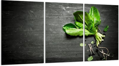 TMK ArtDeko - Serie 3x30 - Glasbeschermer voor Kookplaat - 30x52 cm - Gehard Glas