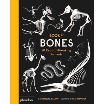 Book Of Bones - Sam Brewster