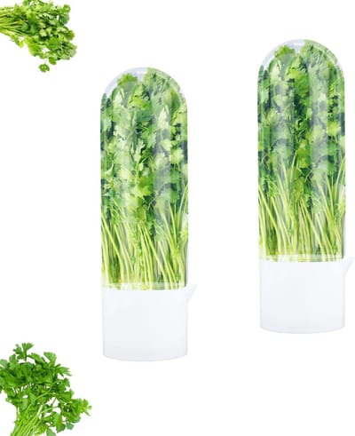 Dailygoods- Kruidenbewaardoos 2 Stuks - BPA-Vrij - Bewaardoos voor Verse Kruiden - Koriander/Basilicum/Peterselie - Opbergcontainers - 25,5 x 7,6 cm - Kruidenopslag