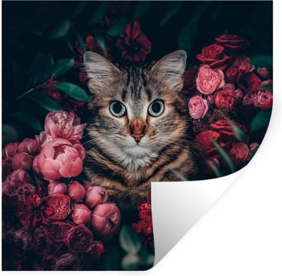 Muurstickers - Sticker Folie - Kat - Bloemen - Dieren - Botanisch - 100x100 cm - Plakfolie - Muurstickers Kinderkamer - Zelfklevend Behang XXL - Zelfklevend behangpapier - Stickerfolie
