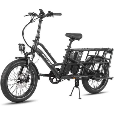 Fafrees FF20 CUV - Elektrische bakfiets - 250 W - 48 V - 24 Ah - 20 inch wielnaaf - Maximale snelheid 25 km/u - Zwart