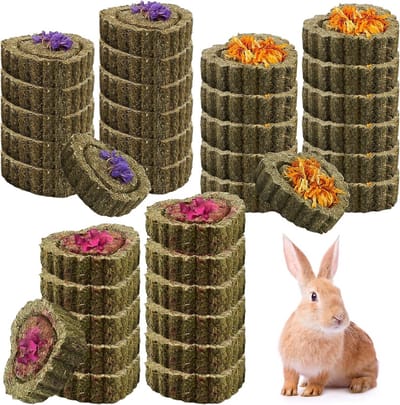 Kauwspeelgoed Huisdieren - Knaagdier Snacks - Tanden Gezond Houden - Natuurlijk Timothy Gras - 36 Stuks - Groen