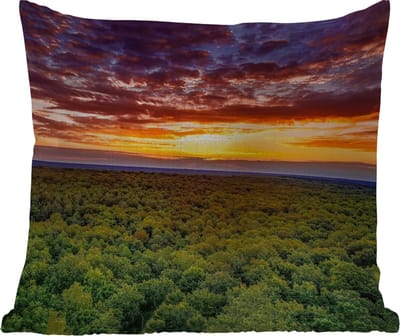 Tuinkussen - Bos - Nacht - Lucht - Horizon - Bomen - 40x40 cm - Weerbestendig